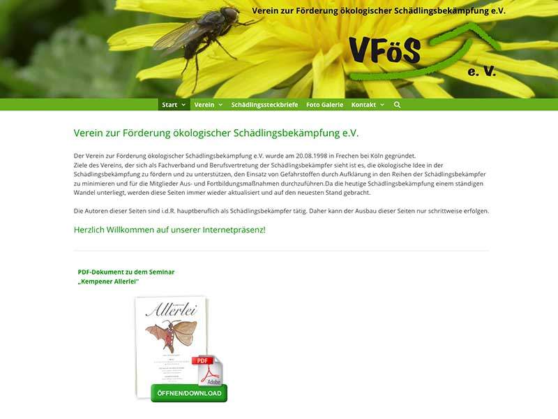 Webdesign – für Vfoes